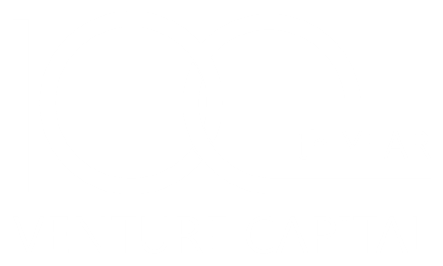 100th Year Venture Capital